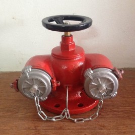 Đầu trụ cấp nước cứu hỏa chữa cháy tại Hà Nội giá rẻ